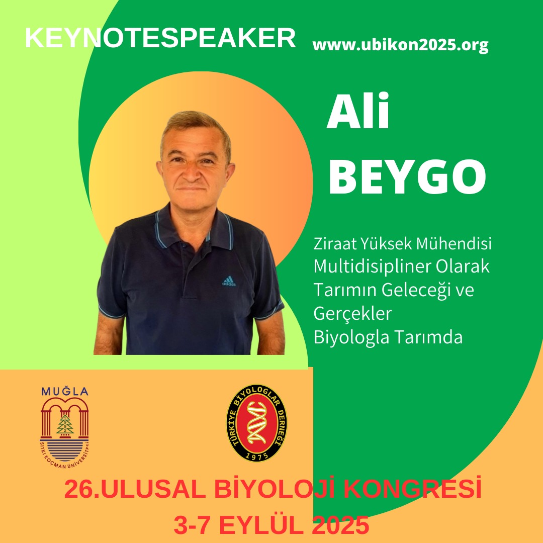 ali-beygo