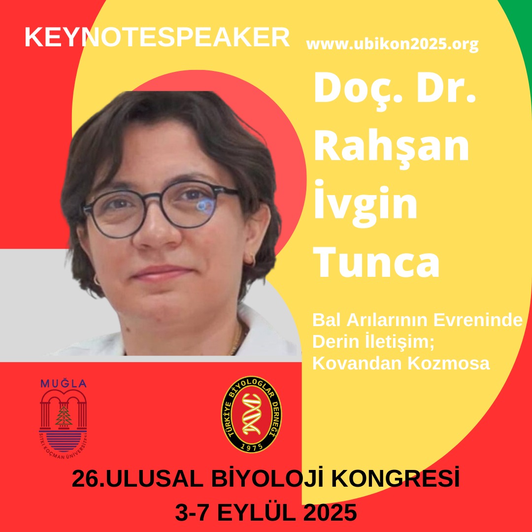 rahsan-ivgin-tunca