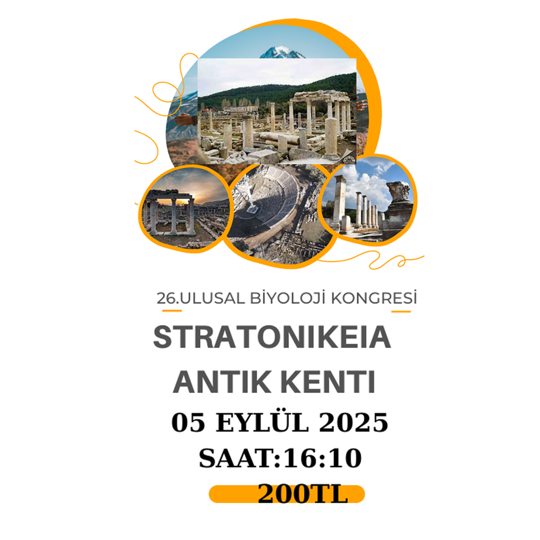 straton.png